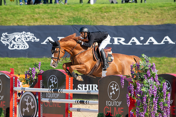 bolesworth young horse